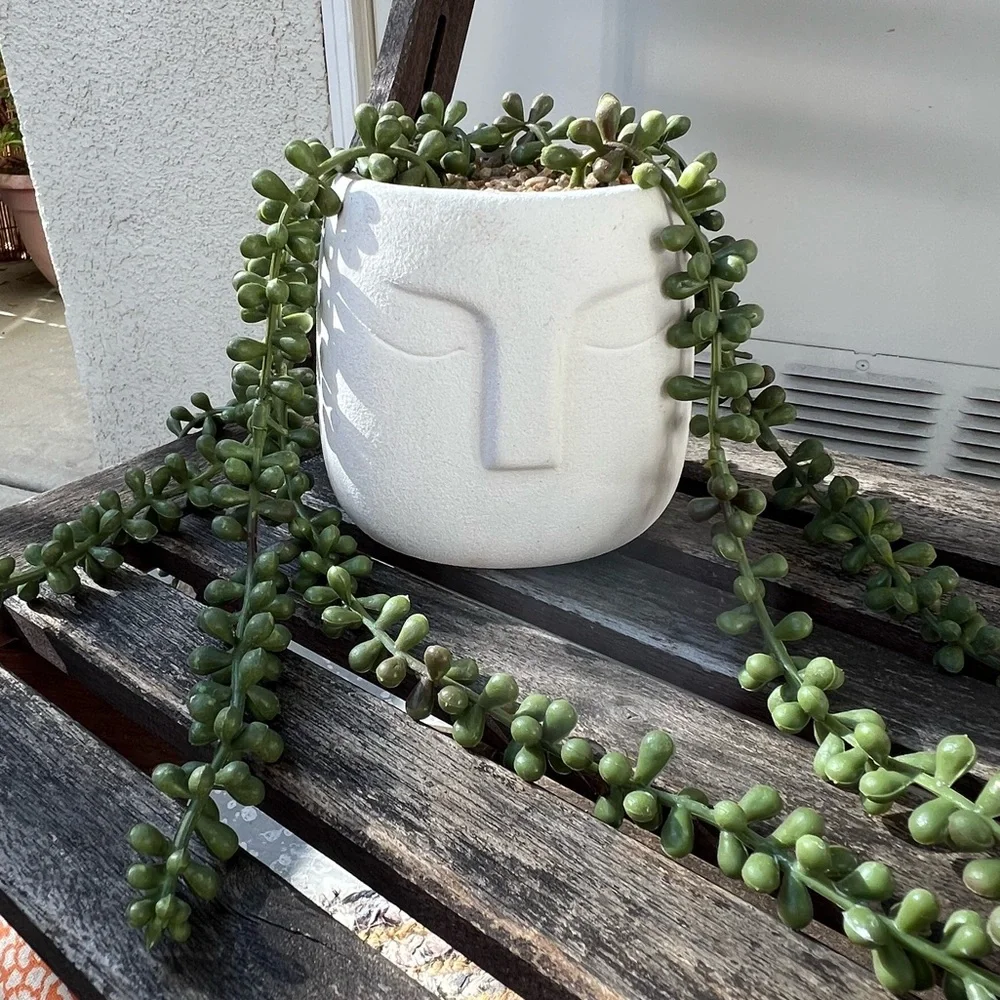 Faux String of Pearls in Face Pot